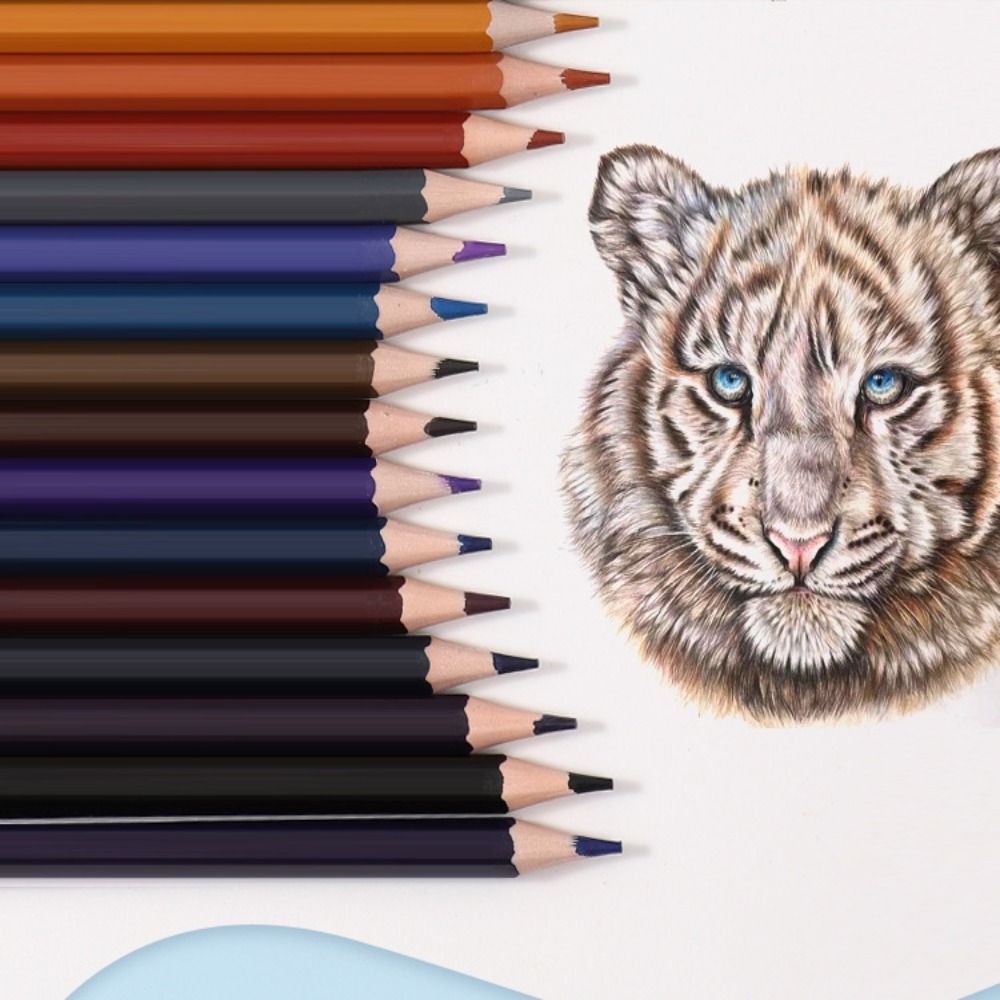 1 Set 12/18/24/36/48 Kleuren S - Colored Pencil Professional recensie en prijs