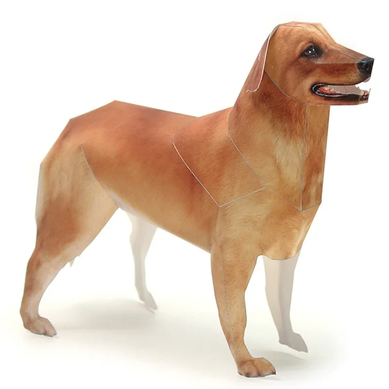 Golden Retriever Hond Papier M - Art Craft With Cardboard recensie en prijs