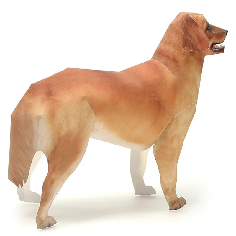 Golden Retriever Hond Papier M - Art Craft With Cardboard recensie en prijs